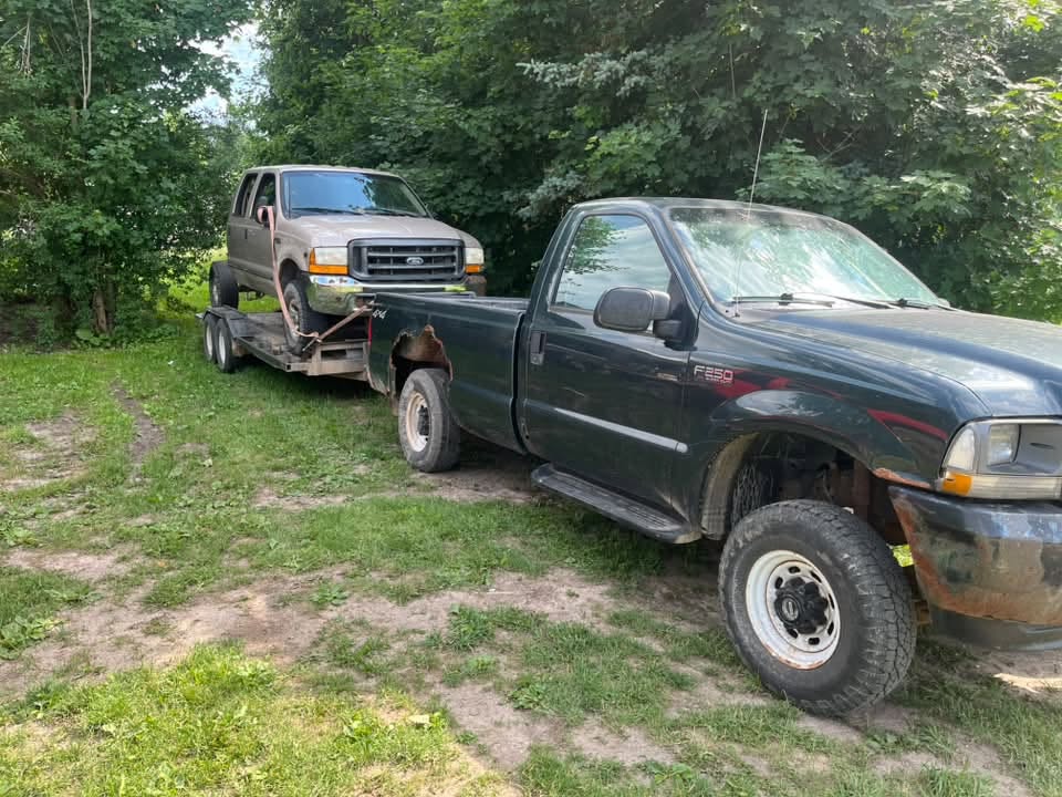 Unwanted Auto Removal